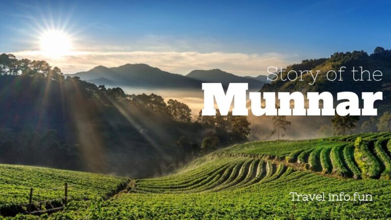 Ultimate Munnar Travel Guide 2025: Best Attractions, Tips & Itinerary